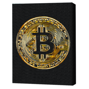 Картина по номерам 40х50 см (без упаковки) – Биткойн